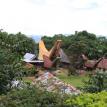 Back Yard Coffee Toraja